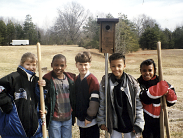 School Grounds Workshops